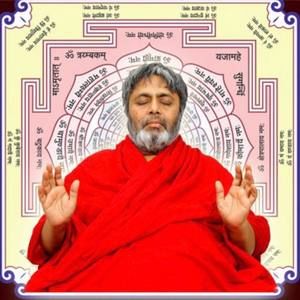 Meet your Posher, Priya